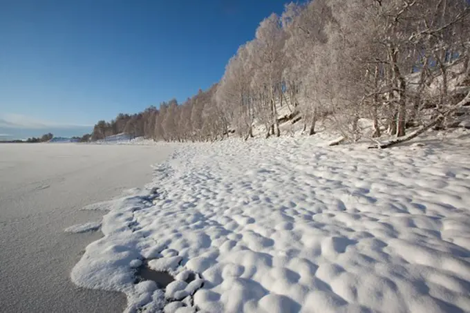 Frozen lakeside of Loch Insh. Cairngorms National Park, Scotland, December 2009.