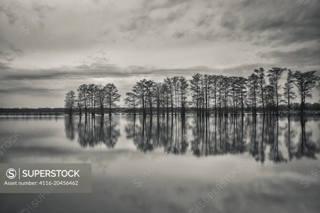 Bear Skin Lake reflections, winter