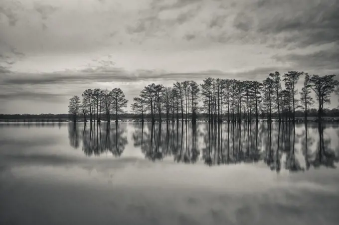 Bear Skin Lake reflections, winter