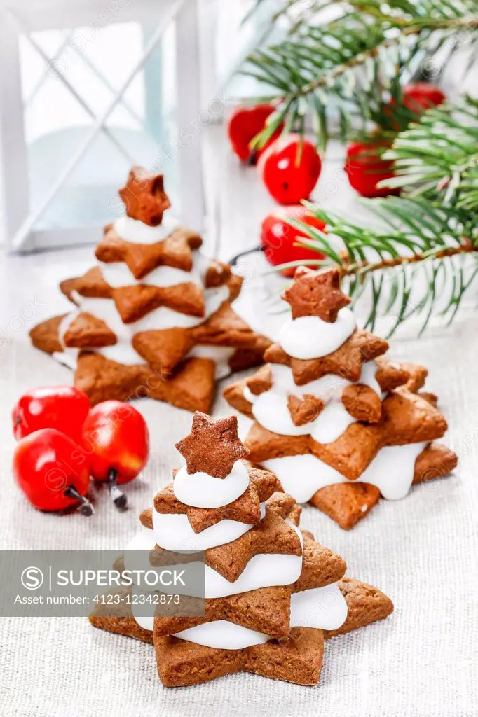 Gingerbread christmas trees. Beautiful xmas dessert