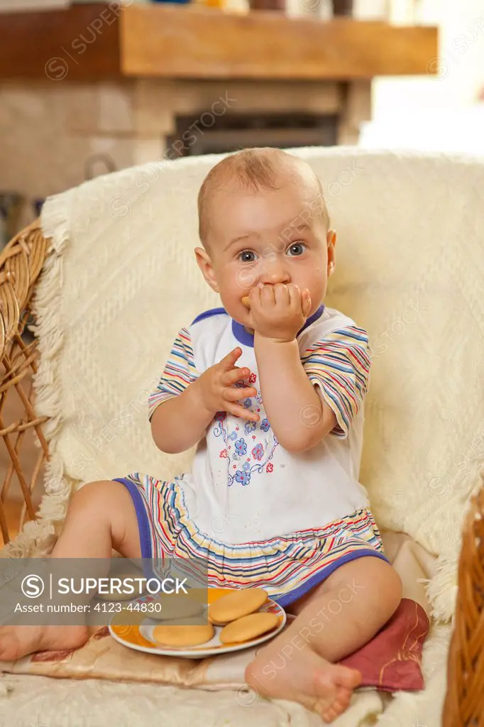 Adorable baby girl sitting in wicker armchair, eating cookies.