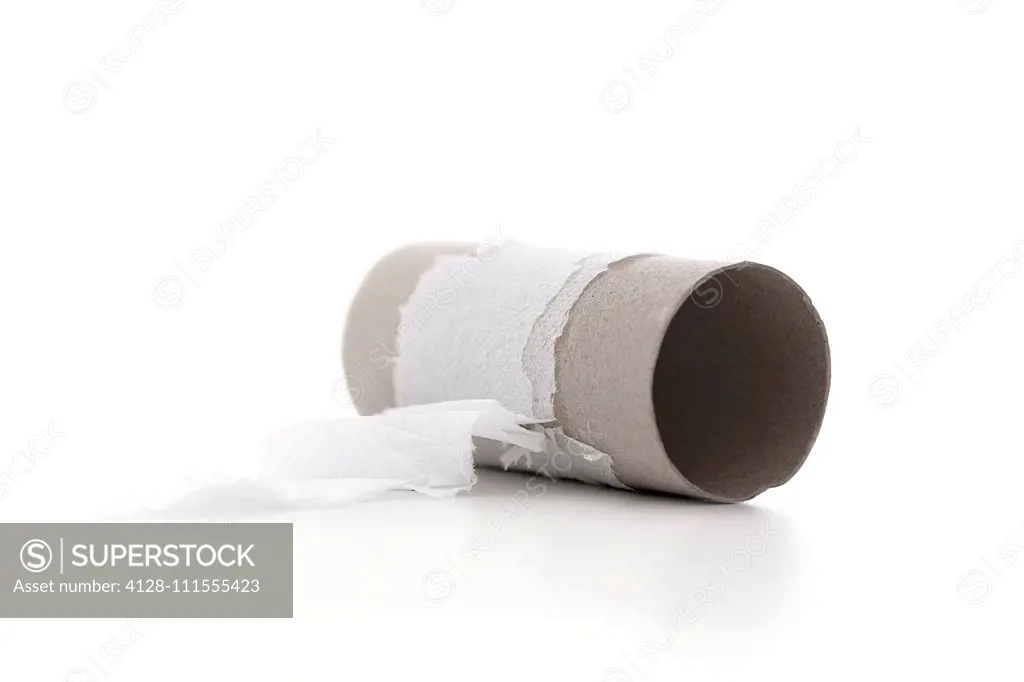 Finished toilet roll