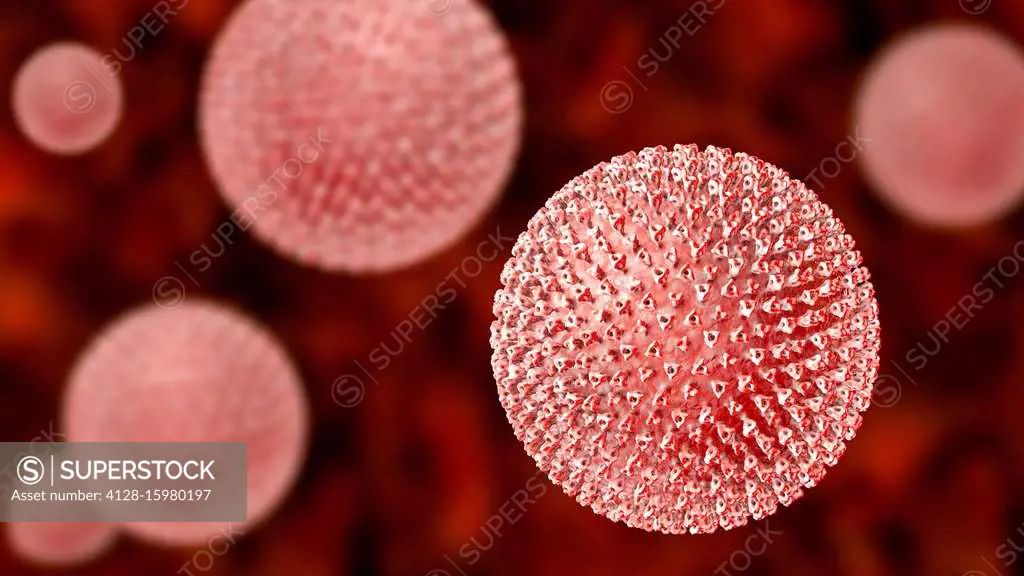 Measles virus particle, computer illustration. This virus, from the Morbillivirus group of viruses, consists of an RNA (ribonucleic acid) core surroun...