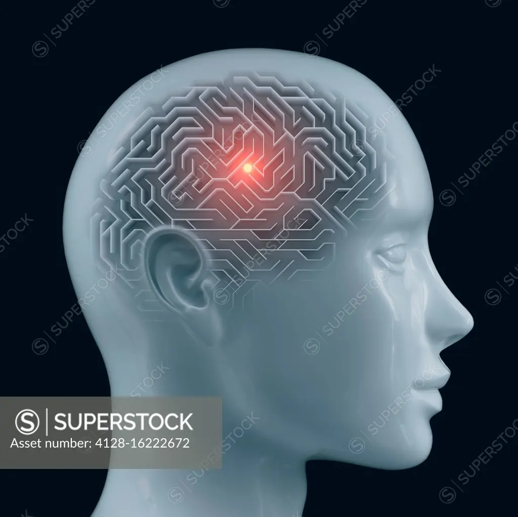 Human brain, conceptual illustration - SuperStock