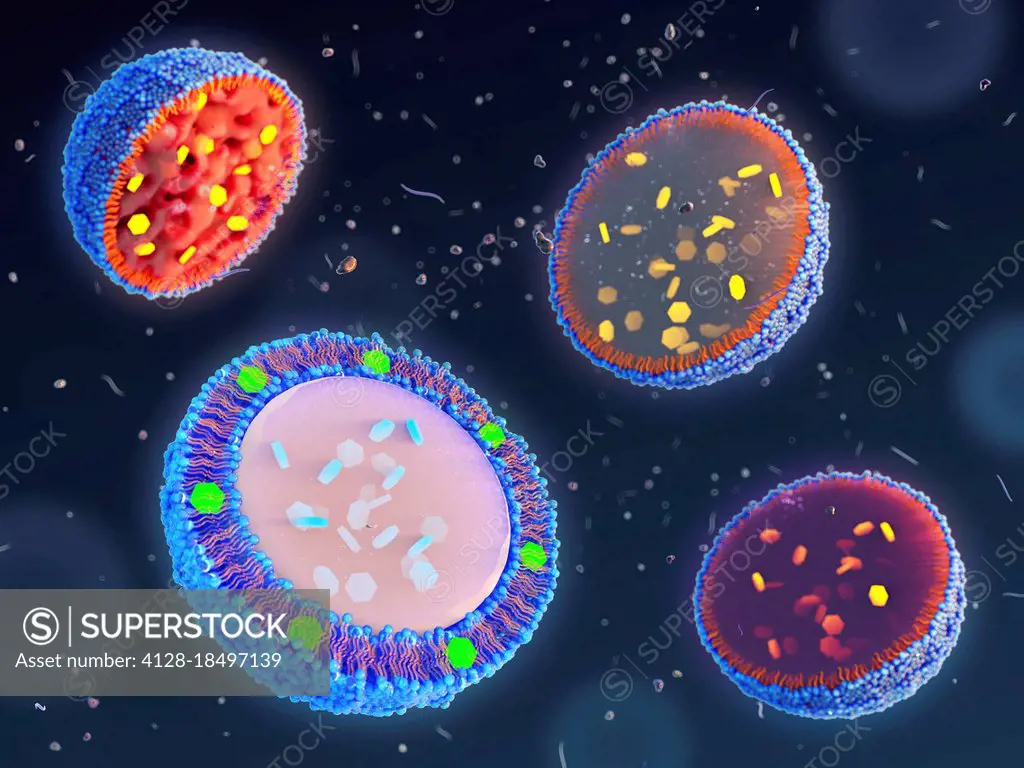 Lipid-based nanoparticles for drug encapsulation, illustrati