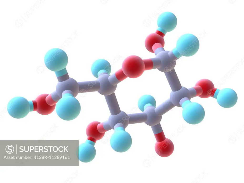 Glucose, molecular model. Atoms are represented as spheres and are colour-coded: carbon (grey), hydrogen (blue) and oxygen (orange).