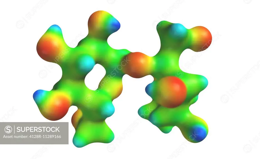 Sucrose, molecular model. The coloured map represents the electrostatic potential across the molecule's surface.