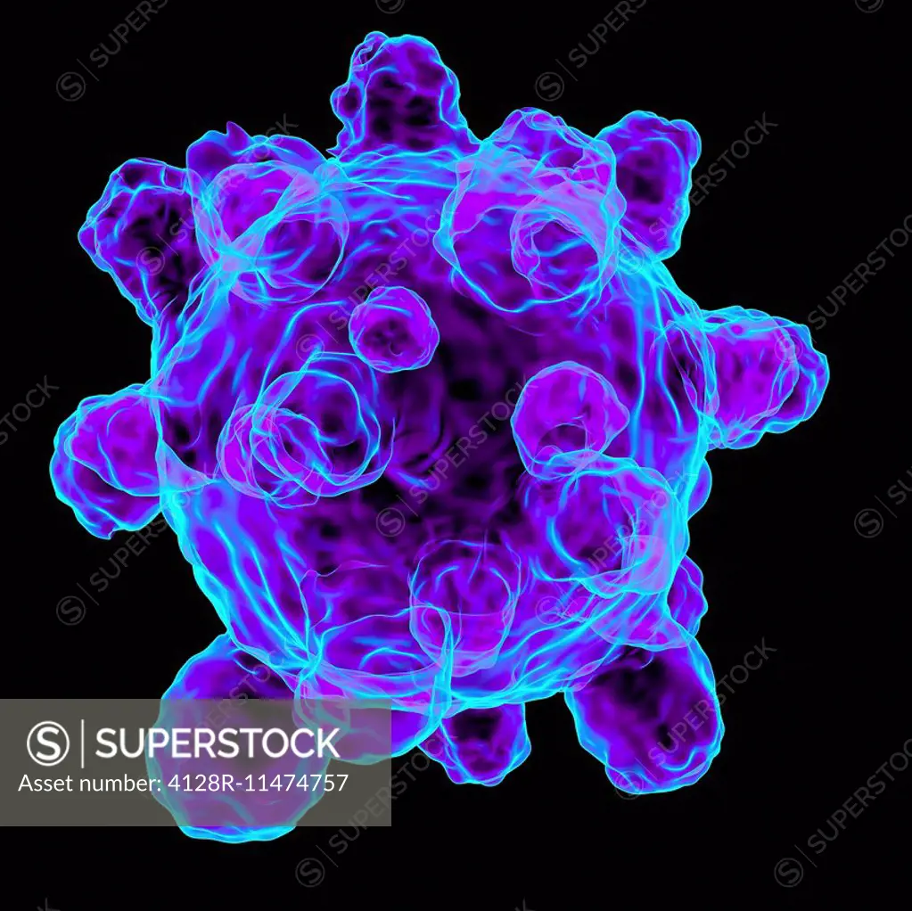 Measles virus, computer artwork.