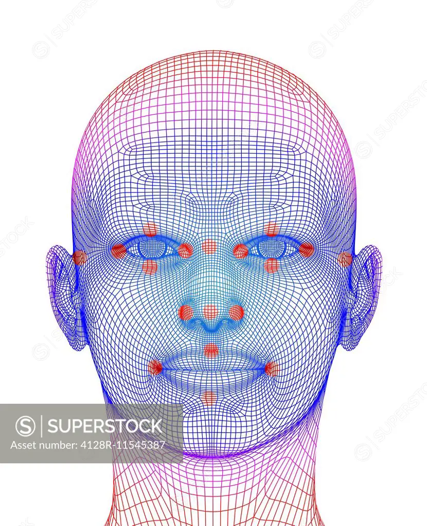 Biometric facial map. Human face with markers of facial recogniction software. The identification of a behavioural or physical trait for recognition p...