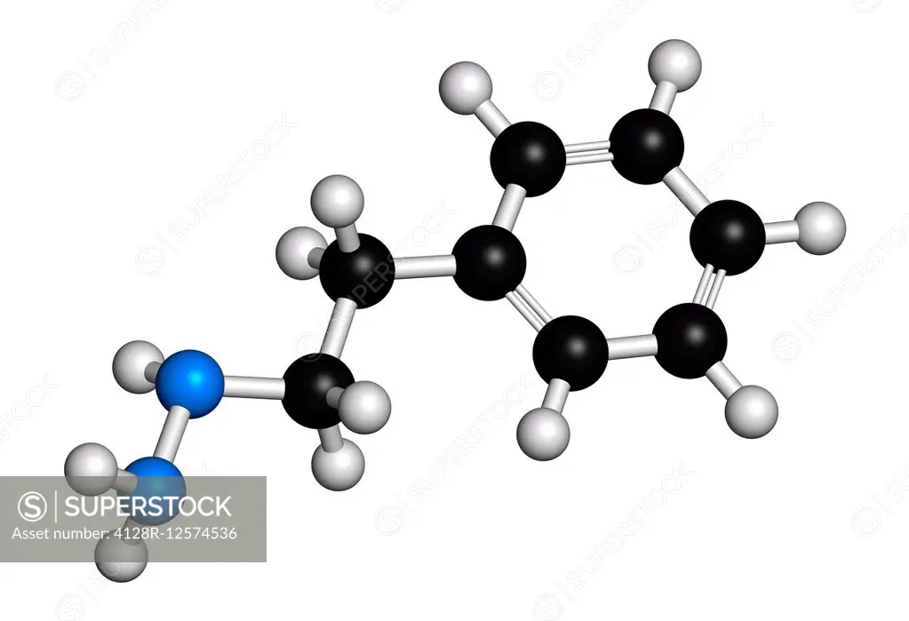 Phenelzine antidepressant molecule. Belongs to hydrazine class of antidepressants. Atoms are represented as spheres with conventional colour coding: h...