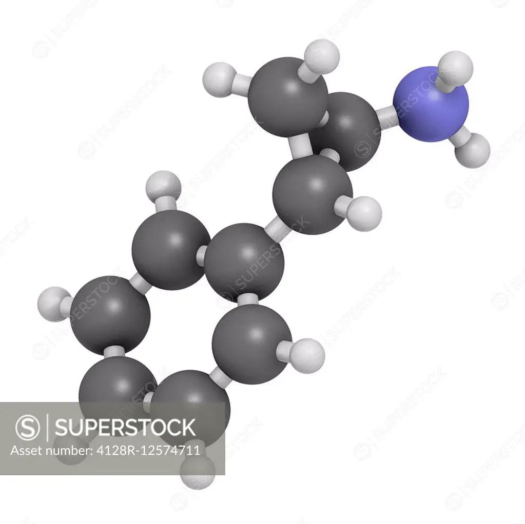 Tranylcypromine antidepressant and anxiolytic drug molecule. Irreversible inhibitor of the enzyme monoamine oxidase (MAO). Atoms are represented as sp...