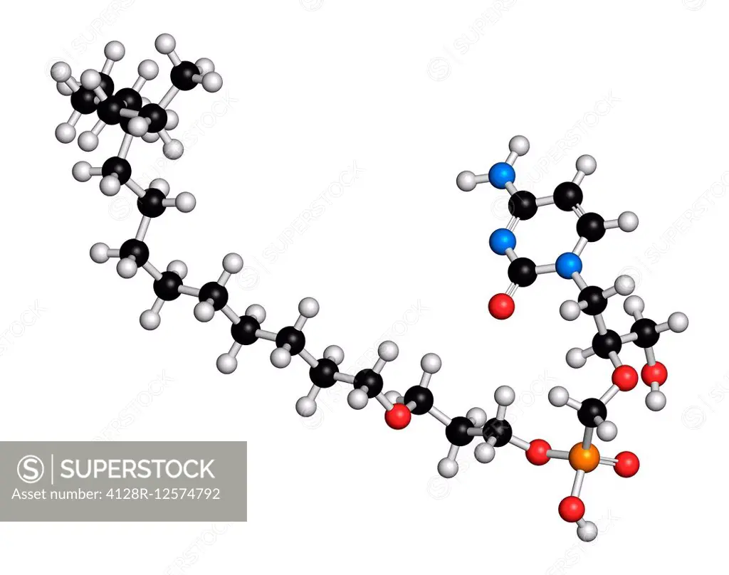 Brincidofovir antiviral drug molecule. Prodrug of cidofovir. Atoms are represented as spheres with conventional colour coding: hydrogen (white), carbo...