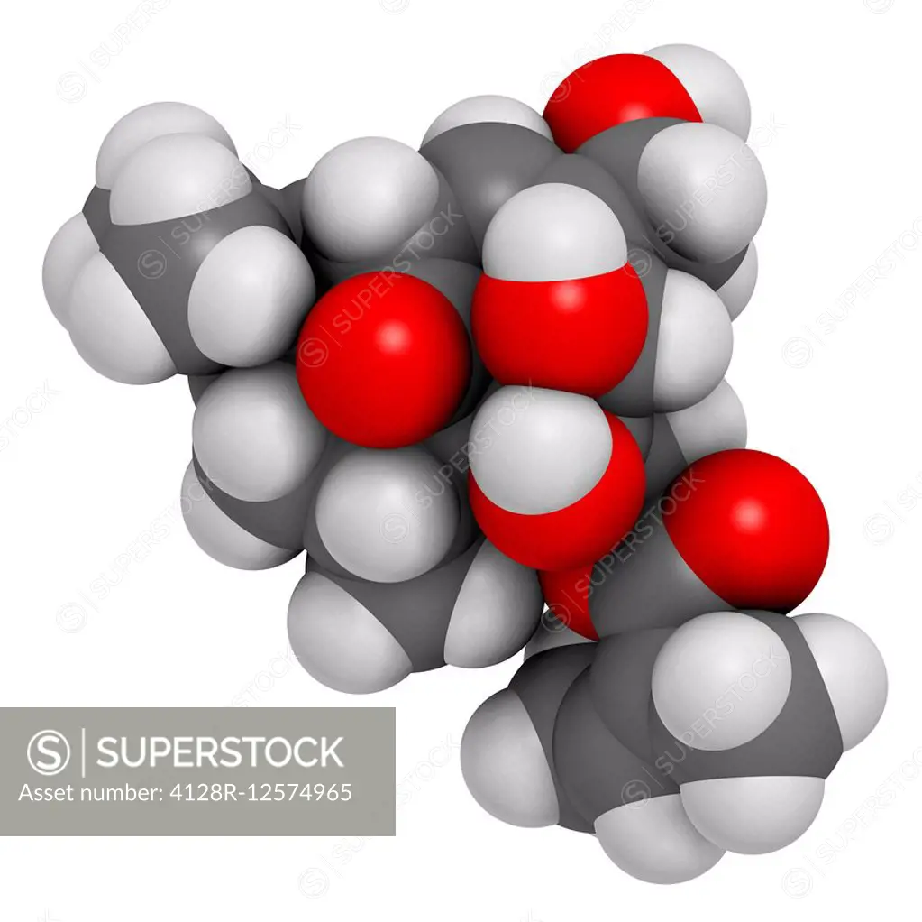 Ingenol mebutate (ingenol-3-angelate) actinic keratosis treatment drug molecule. Atoms are represented as spheres with conventional colour coding: hyd...