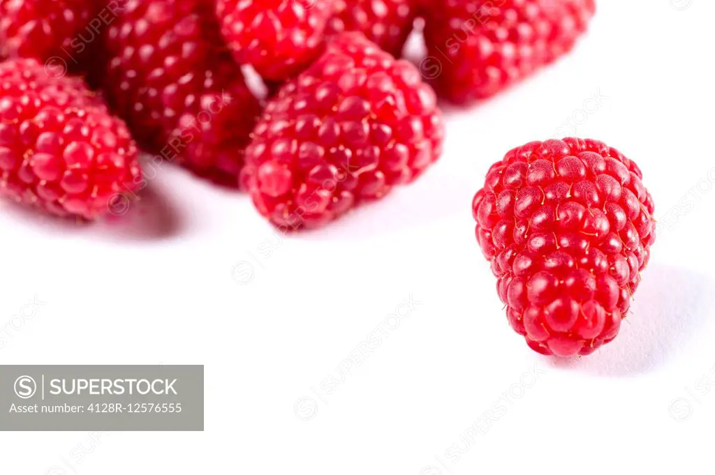 Raspberries, studio shot.