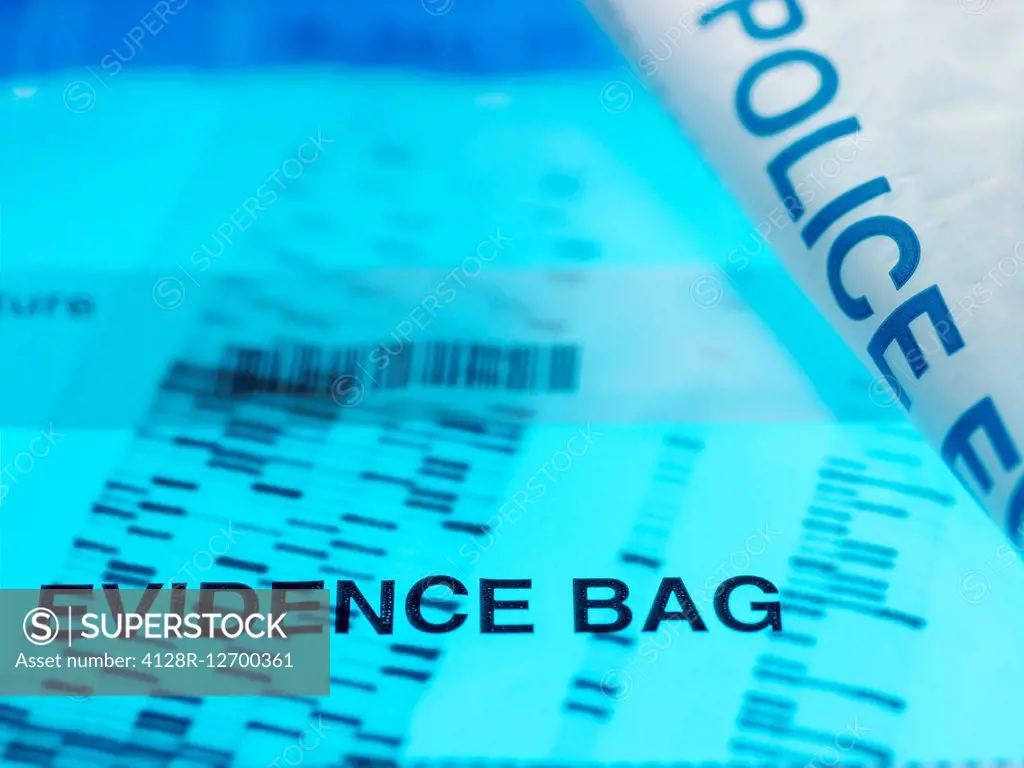 Forensic DNA (deoxyribonucleic acid) autoradiogram contained in a police evidence bag