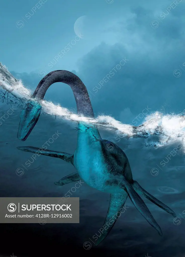 Prehistoric sea creature, illustration