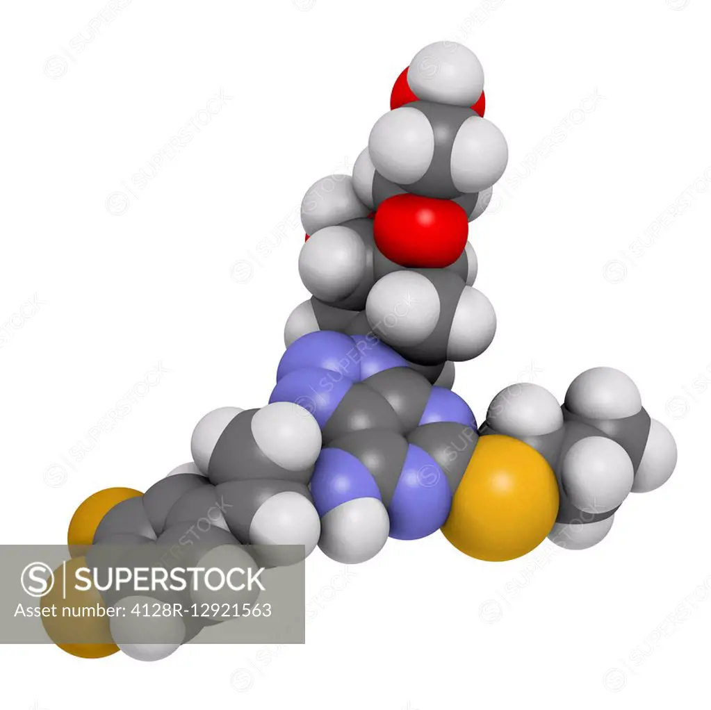 Ticagrelor platelet inhibitor drug