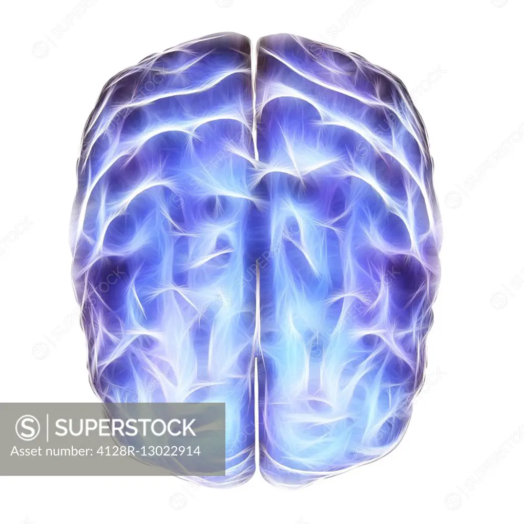 Electrical activity in the brain, computer artwork.