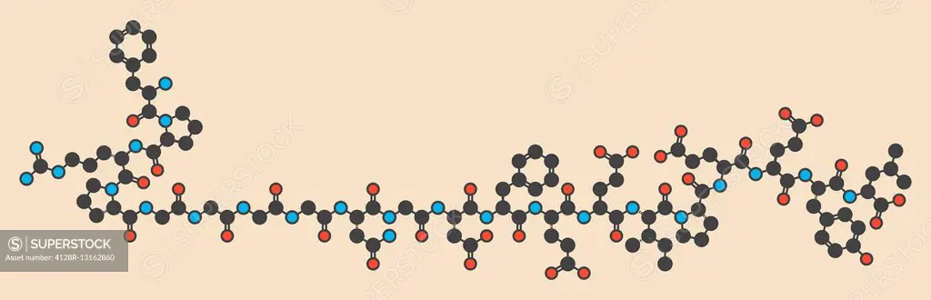 Bivalirudin anticoagulant drug molecule (direct thrombin inhibitor). Stylized skeletal formula (chemical structure). Atoms are shown as color-coded ci...