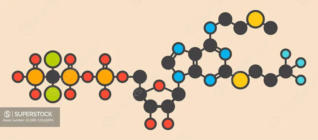 Cangrelor antiplatelet drug molecule. Stylized skeletal formula (chemical structure). Atoms are shown as color-coded circles: hydrogen (hidden), carbo...