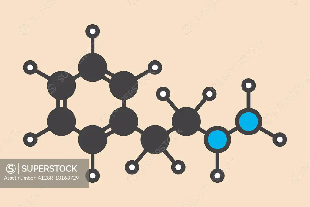 Phenelzine antidepressant molecule. Belongs to hydrazine class of antidepressants. Stylized skeletal formula (chemical structure). Atoms are shown as ...