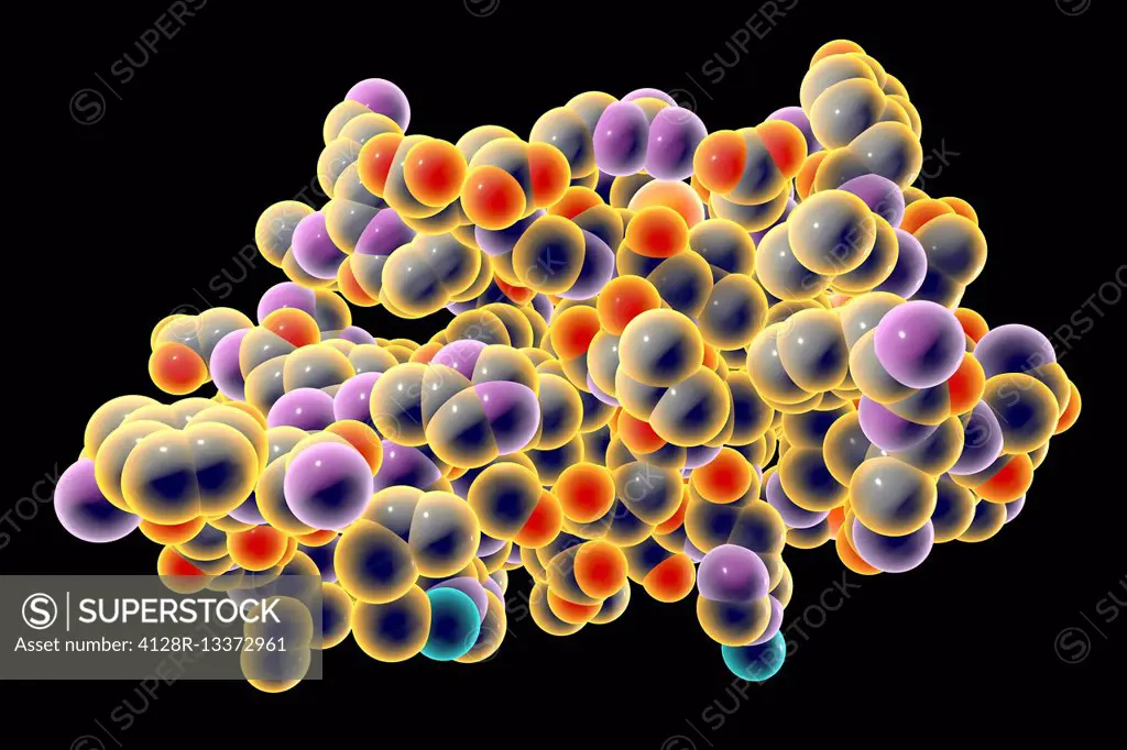 Insulin molecule. Computer model showing the structure of a molecule of the hormone insulin. Insulin plays an important role in blood sugar regulation...