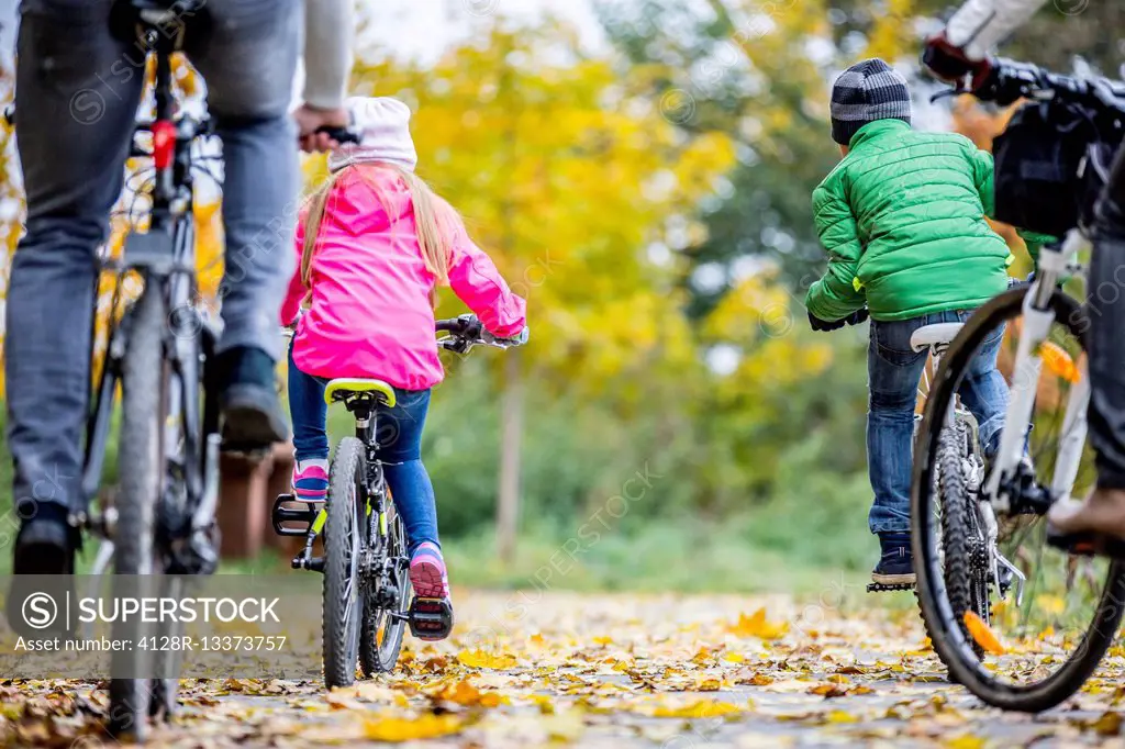 MODEL RELEASED. Rear view of family cycling together in autumn.