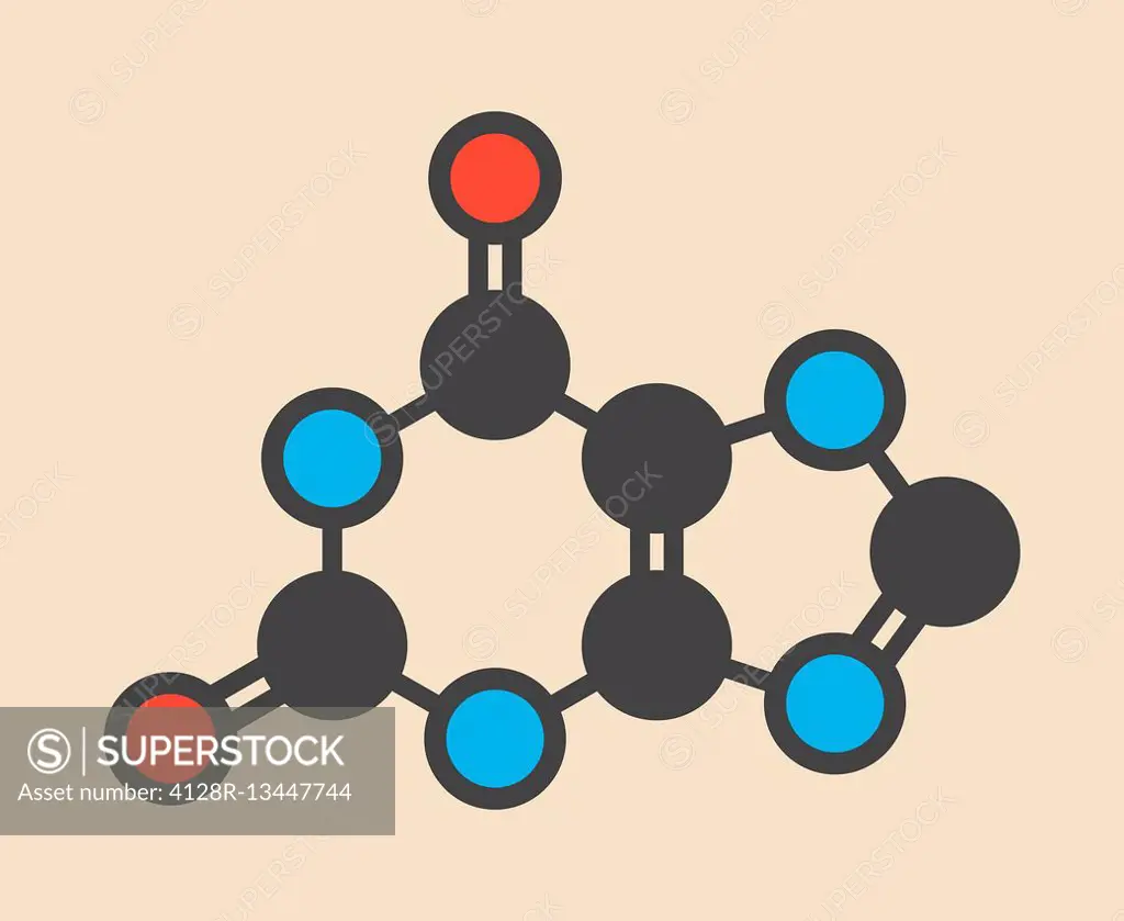 Xanthine purine base molecule. Stylized skeletal formula (chemical structure). Atoms are shown as color-coded circles: hydrogen (hidden), carbon (grey...