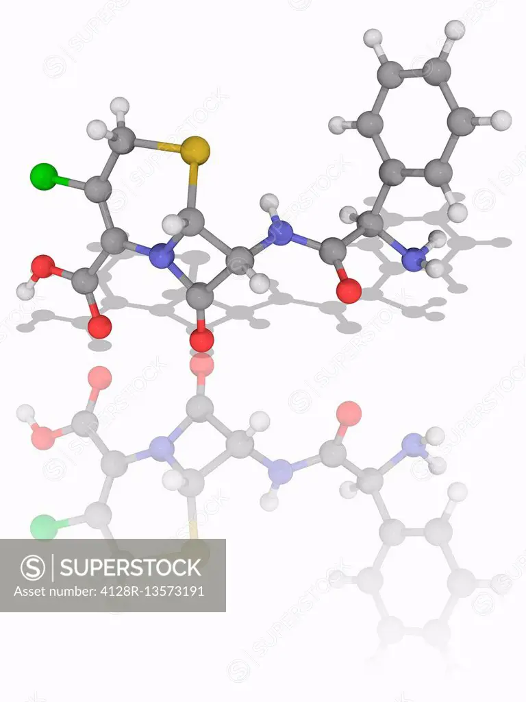 Cefaclor. Molecular model of the antibiotic drug cefaclor (C15.H14.Cl.N3.O4.S). This is a second-generation cephalosporin antibiotic used for treating...