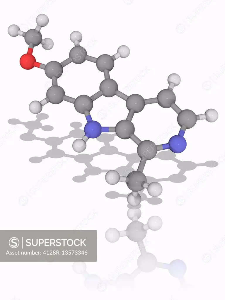 Harmine. Molecular model of the drug harmine (C13.H12.N2.O), a fluorescent harmala alkaloid that occurs in several different plants. As a drug, it slo...