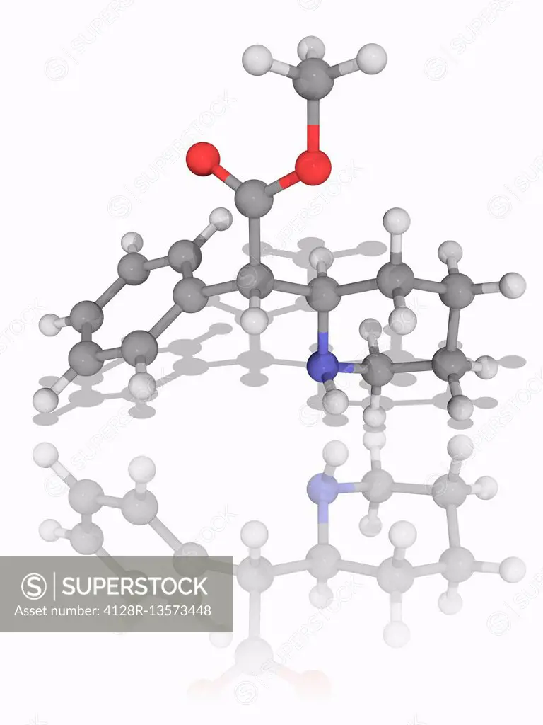 Methylphenidate. Molecular model of the psychostimulant drug methylphenidate (C14.H19.N.O2), approved for treatment of ADHD (attention deficit hyperac...