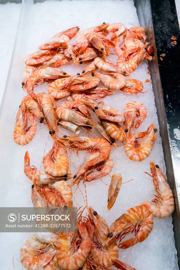 Fresh shrimp on ice.