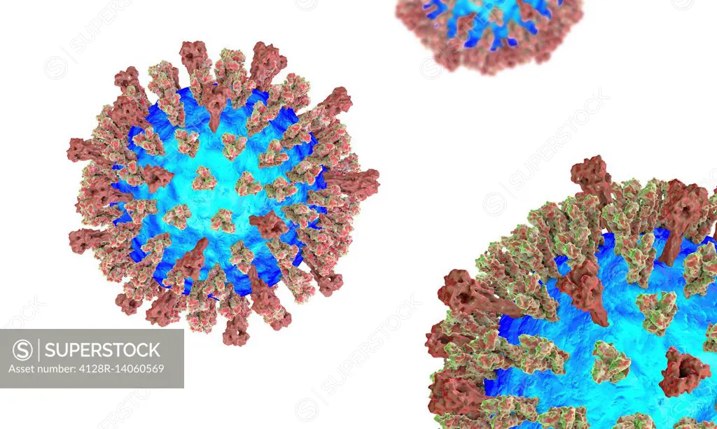 Measles virus, illustration