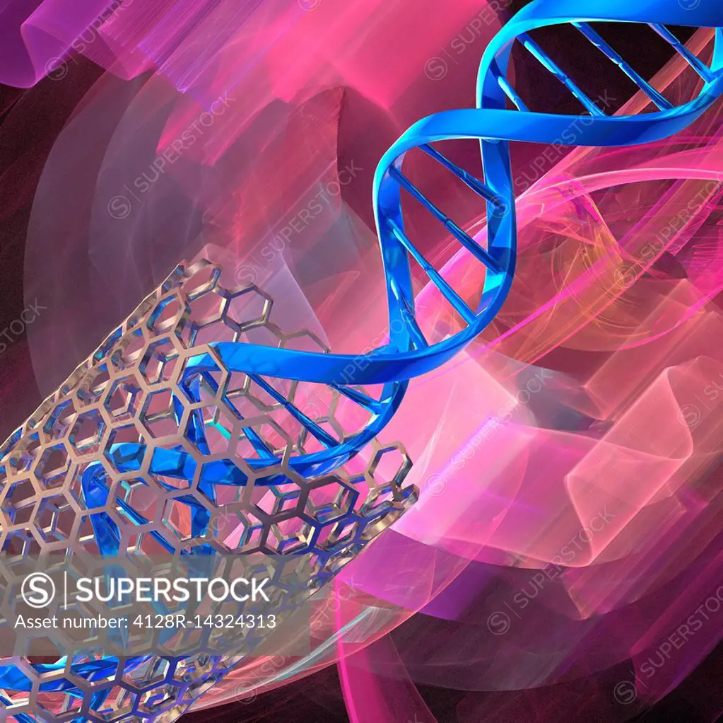 DNA molecule and nanotube, illustration