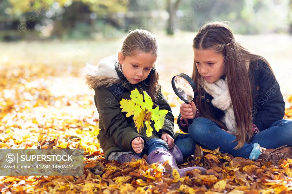 Girls collecting leaves