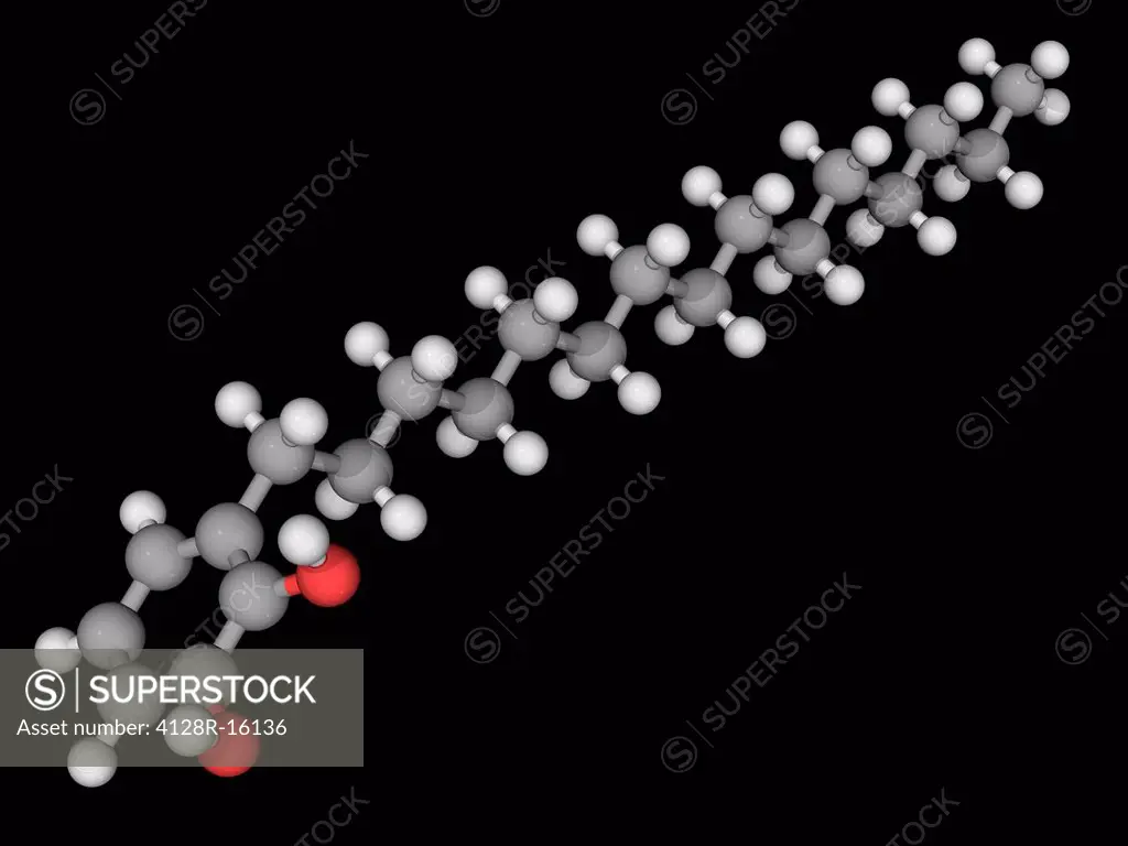 3_Pentadecacatechol, molecular model. Active ingredient of poison ivy. Atoms are represented as spheres and are colour_coded: carbon grey, hydrogen wh...