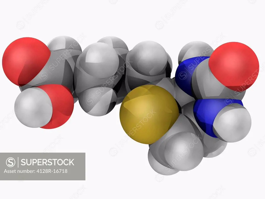 Vitamin B7 biotin, molecular model. Vitamin required for cell growth, the production of fatty acids, and the metabolism of fats and amino acids. Atoms...