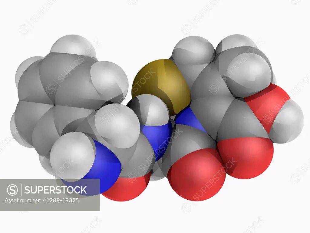 Cephalexin, molecular model. First_generation cephalosporin antibiotic. Atoms are represented as spheres and are colour_coded: carbon grey, hydrogen w...