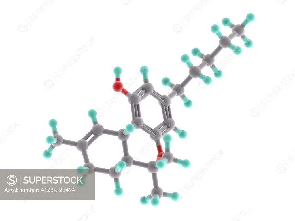 THC drug, molecular model. Atoms are represented as spheres and are colour-coded: carbon (grey), hydrogen (blue-green) and oxygen (red).