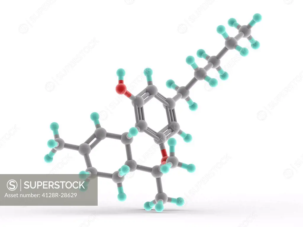 THC drug, molecular model. Atoms are represented as spheres and are colour-coded: carbon (grey), hydrogen (blue-green) and oxygen (red).