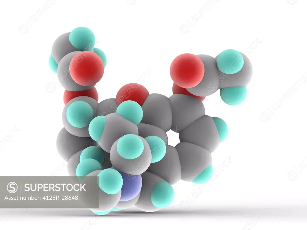 Heroin drug, molecular model. Atoms are represented as spheres and are colour-coded: carbon (grey), hydrogen (blue-green), oxygen (red) and nitrogen (...