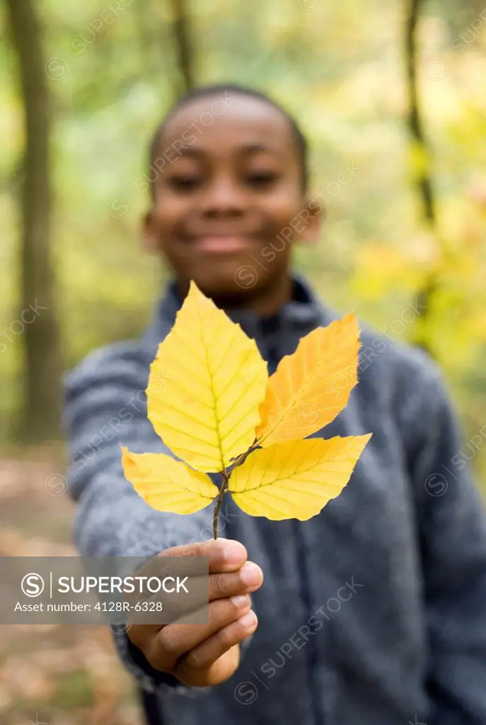 Boy holding autumn leaves