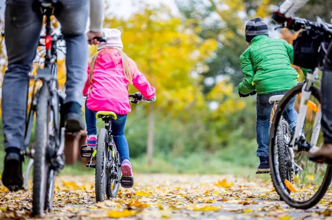 MODEL RELEASED. Rear view of family cycling together in autumn.