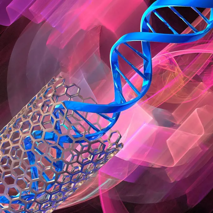 DNA molecule and nanotube, illustration