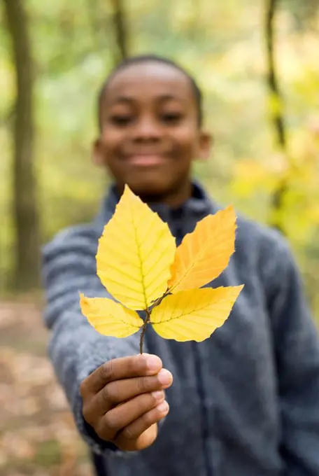 Boy holding autumn leaves