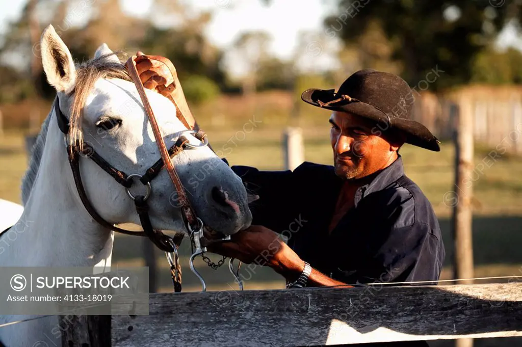 Pantanal Cowboy,Pantaneiro,Horse,Pantaneiro Horse,Pantanal,Brazil,Portrait