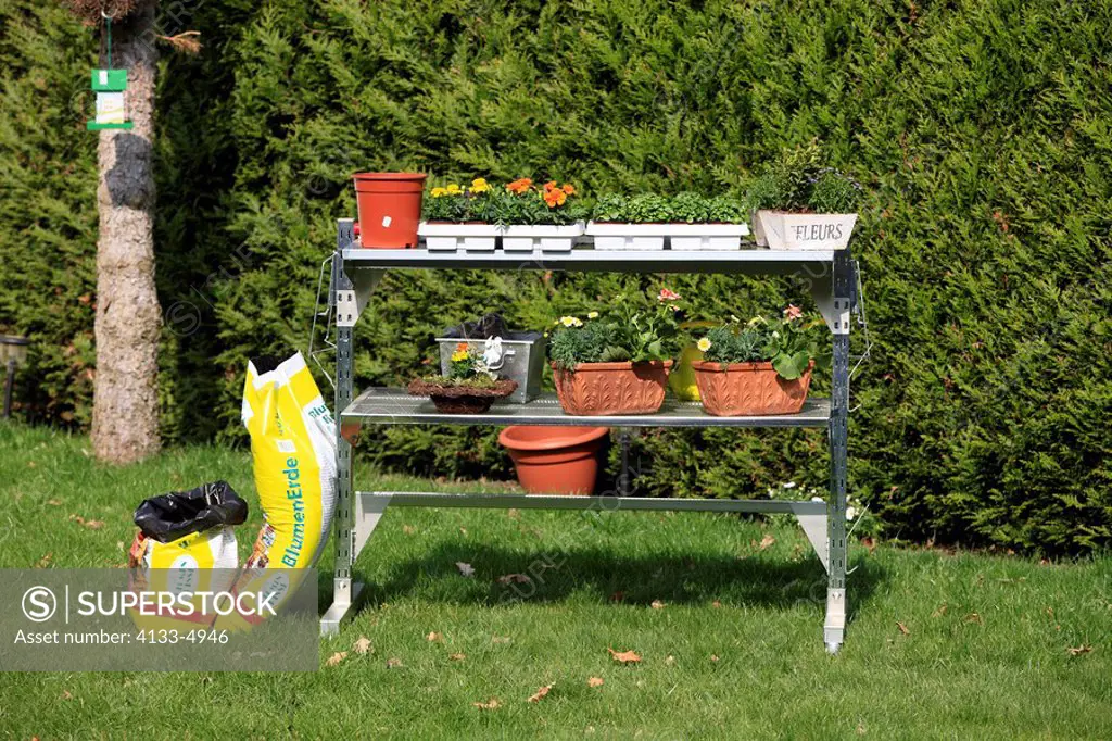 Garden potting table,Ellerstadt,Germany,Europe,gardening