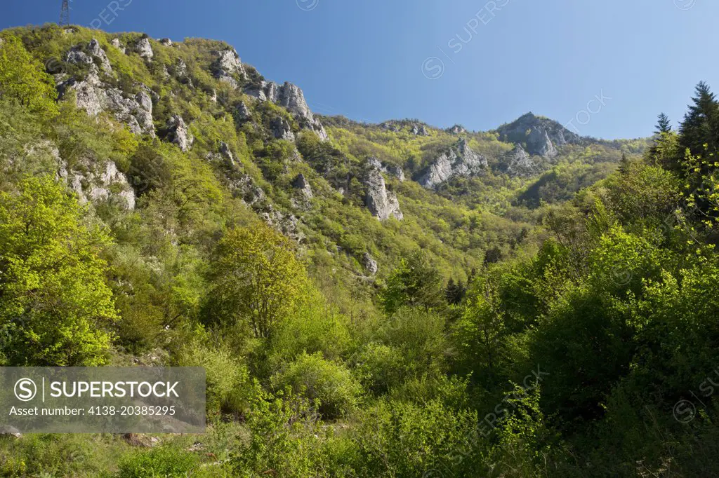 The Gorges de St George, limestone hills above Axat, eastern French Pyrenees, France