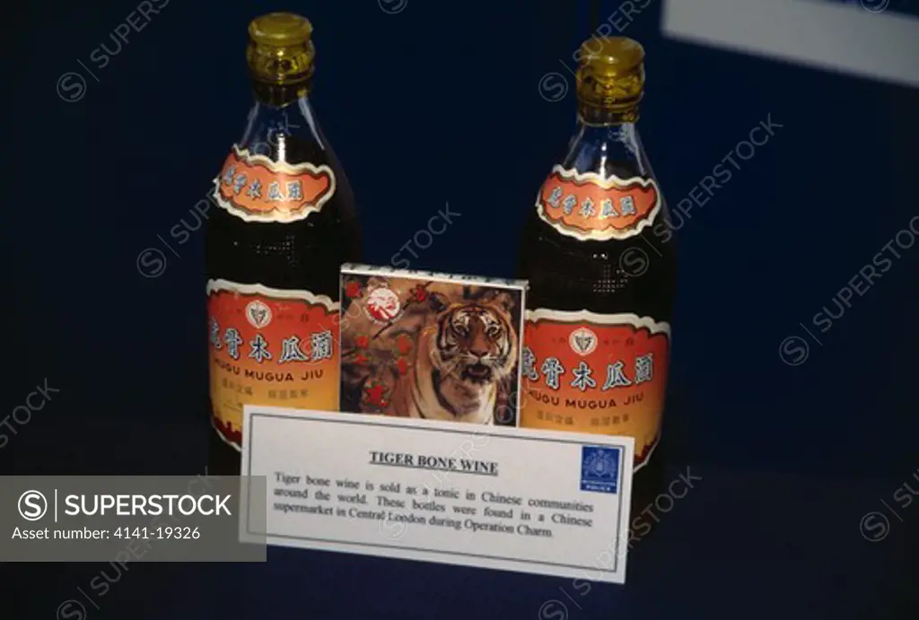 tiger bone wine confiscated during metropolitan police operation charm, london. used as tonic, found in chinese supermarket 