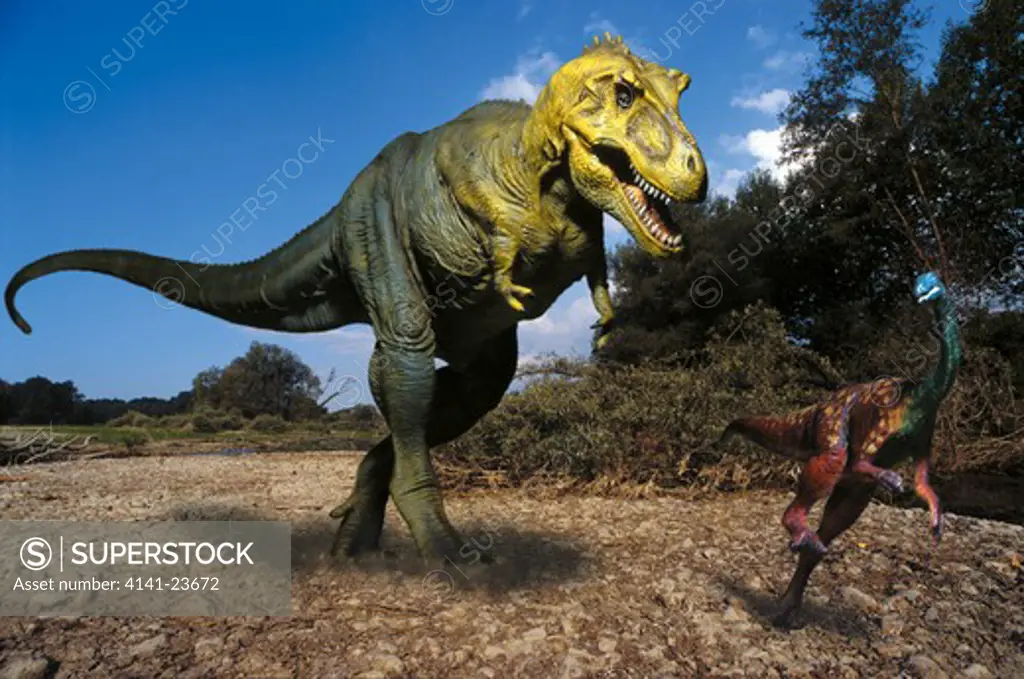 tarbosaurus bataar male a carnivorous saurischian theropod from the late cretaceous period - chasing an ostrich-like gallimimus mongoliensis in what is today mongolia.